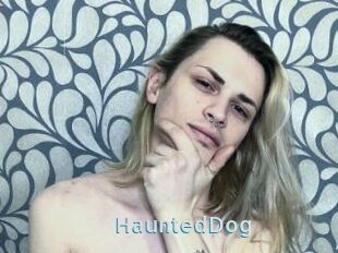 HauntedDog