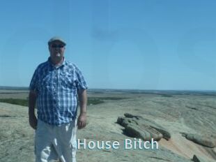 House_Bitch