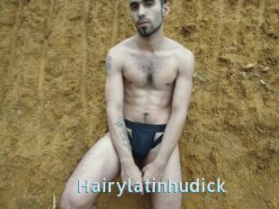 Hairylatinhudick