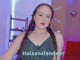 Halaanatendeer