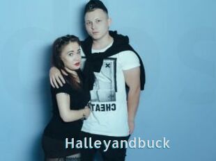 Halleyandbuck