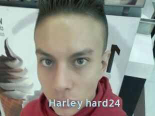 Harley_hard24