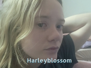 Harleyblossom