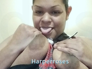 Harperroses