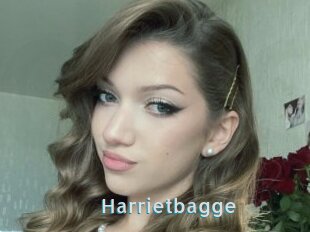 Harrietbagge