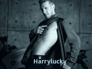 Harrylucky