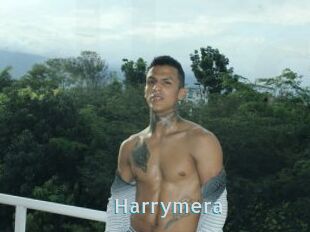 Harrymera