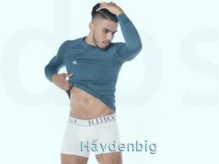 Haydenbig