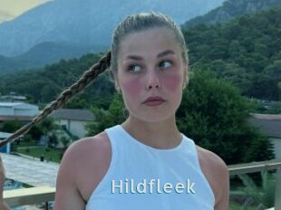 Hildfleek