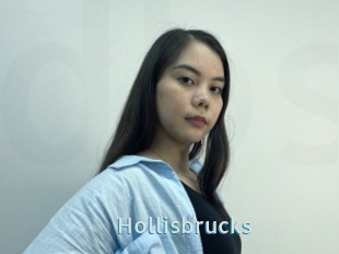 Hollisbrucks