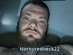 Hornyredneck22