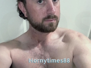 Hornytimes88
