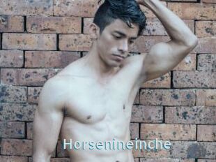 Horsenineinche