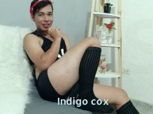 Indigo_cox