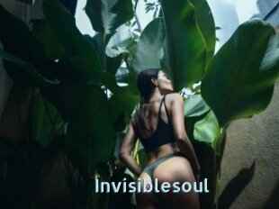 Invisiblesoul