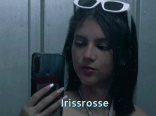 Irissrosse
