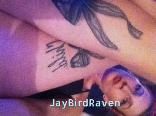 JayBirdRaven