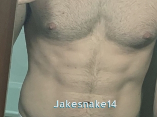 Jakesnake14