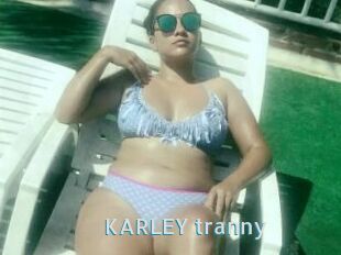 KARLEY_tranny