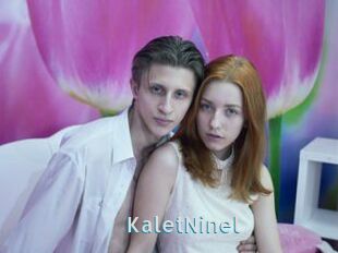 KaletNinel