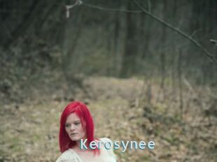 Kerosynee