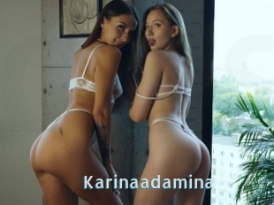 Karinaadamina