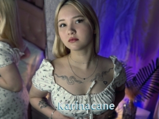 Karinacane