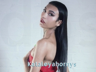 Kataleyahornys