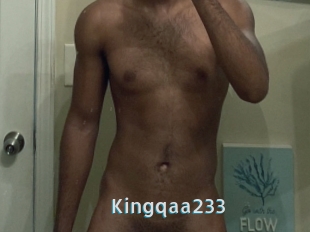 Kingqaa233