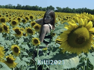 Kitti2023