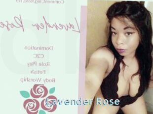 Lavender_Rose