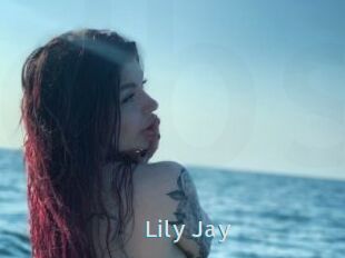 Lily_Jay