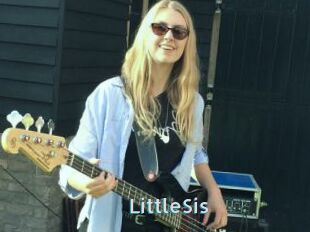 LittleSis