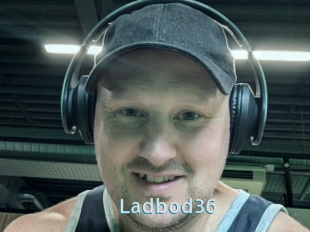 Ladbod36