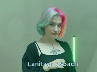 Lanitagriesbach