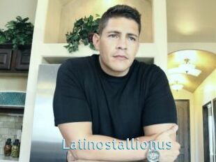 Latinostallionus