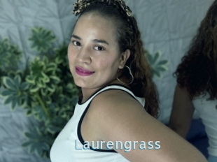 Laurengrass