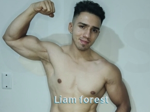 Liam_forest