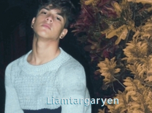 Liamtargaryen