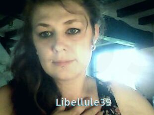 Libellule39