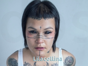 Lilacollina