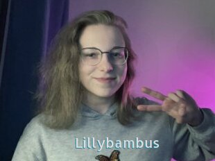 Lillybambus