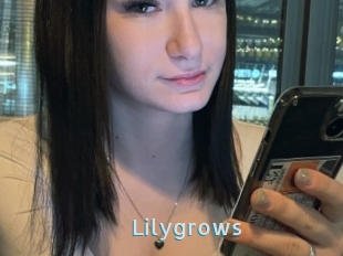 Lilygrows