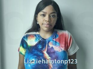 Lizziehamtonp123