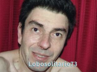 Lobosolitario73