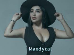 Mandycat