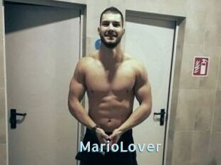MarioLover