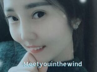 Meetyouinthewind