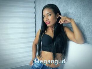 Megangud