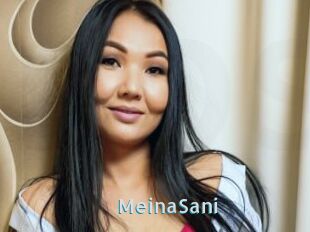 MeinaSani
